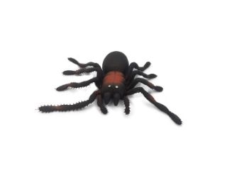 Obrázek z Pavouk strečový 13cm (24) 